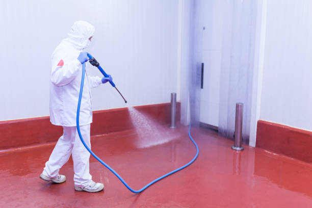 Best Roof Washing  in Safety Harbor, FL